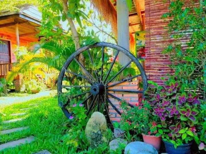The Hidden Oasis Bungalows كامبوت المظهر الخارجي الصورة